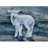 KEITH BOWEN British born 1950, limited edition coloured print, (250/450) - a lamb, signed and