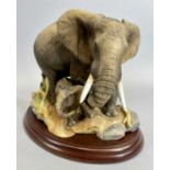 BORDER FINE ARTS FIGURE - 'Mothers Care', B0003, 17cms H, boxed with certificate