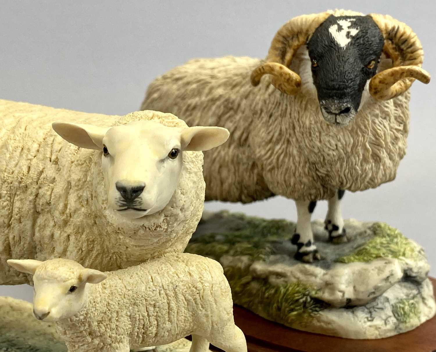 BORDER FINE ARTS FIGURES (2) - 'The County Show Black Face Tup', No 4169, on wooden stand, 12.5cms - Image 2 of 4