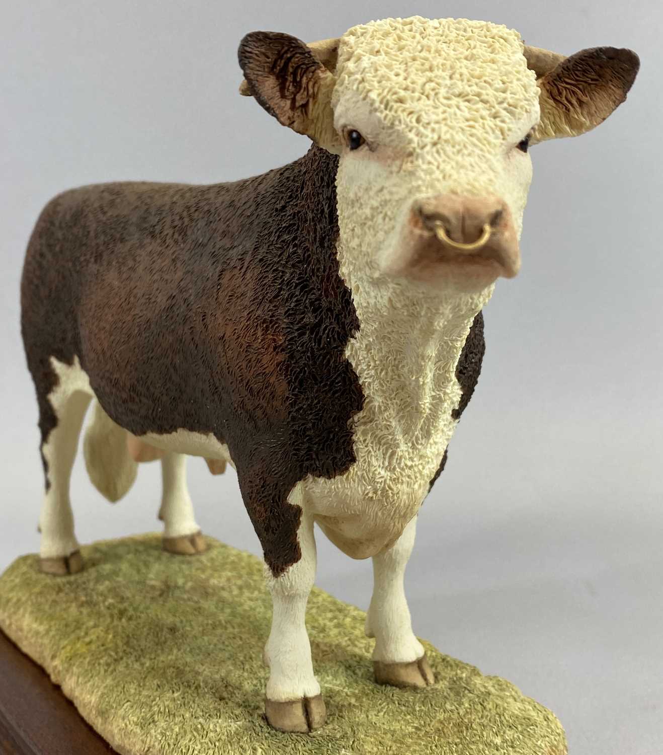 BORDER FINE ARTS FIGURE - 'Hereford Bull', B0772, on wooden stand, 18cms H, boxed - Image 2 of 3