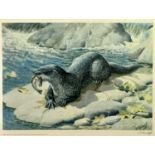 CHARLES FREDERICK TUNNICLIFFE British 1901 - 1979 limited edition colour print (320/550) - Otter