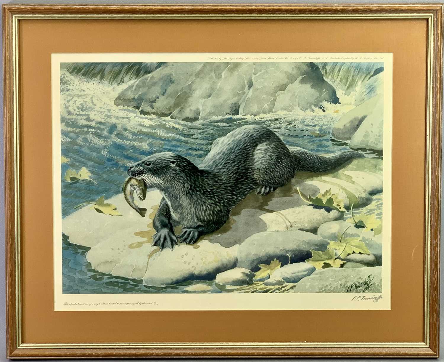 CHARLES FREDERICK TUNNICLIFFE British 1901 - 1979 limited edition colour print (320/550) - Otter - Image 2 of 2