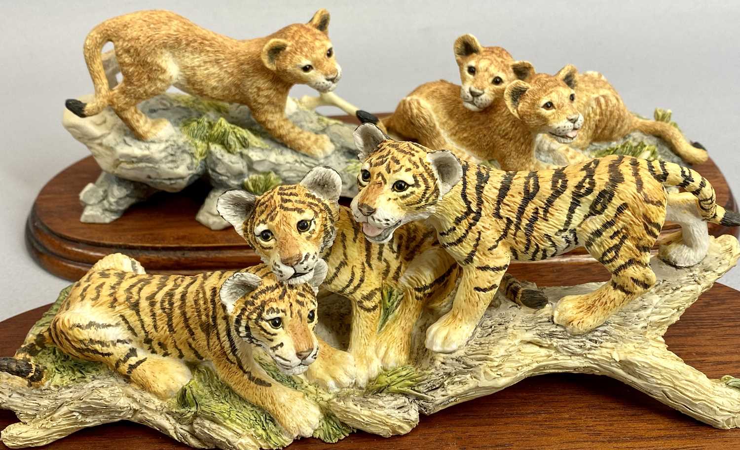 BORDER FINE ARTS FIGURES (2) - Tiger Cubs, RW62, on wooden stand, 10cms H and Lion Cubs, RW61, on - Image 2 of 3