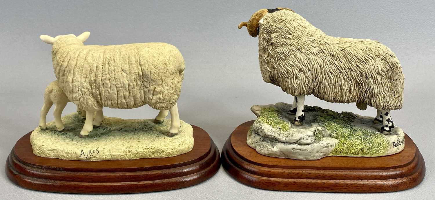 BORDER FINE ARTS FIGURES (2) - 'The County Show Black Face Tup', No 4169, on wooden stand, 12.5cms - Image 3 of 4