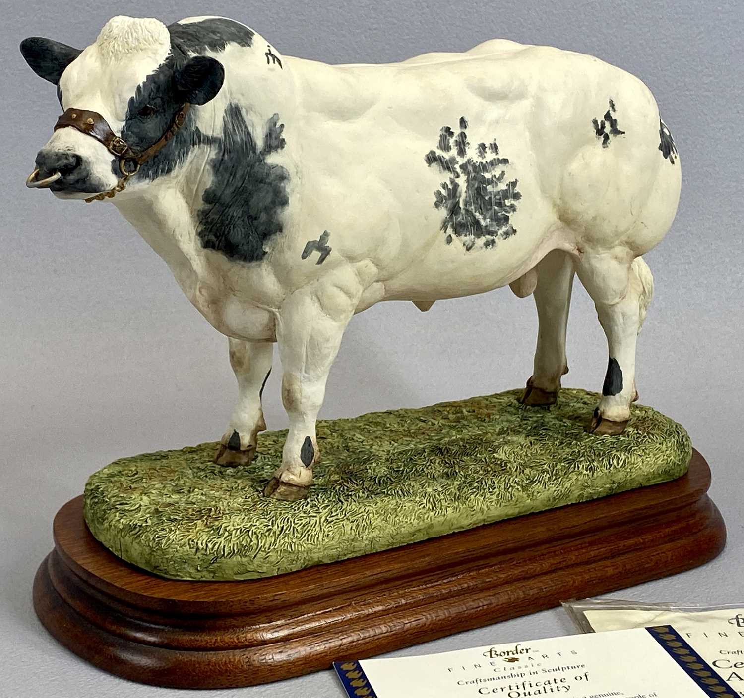 BORDER FINE ARTS FIGURE - Belgian Blue Bull, B0406, on wooden stand, 18cms H, with certificate and