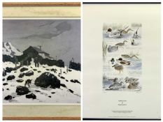 PHILIP SNOW limited edition colour print (54/600) - dabbling ducks, signed and numbered in pencil,