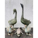 ASSORTED METAL ANIMAL GARDEN ORNAMENTS: comprising antique lead alloy alligator, 55cm long; together