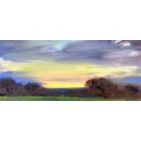 ‡ DAVID LLOYD GRIFFITH oil on card - entitled verso 'Sunset Study', signed with initials, 13 x