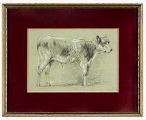 THOMAS SIDNEY COOPER (British, 1803-1902) pencil - standing calf, signed and inscribed verso, 15.5 x