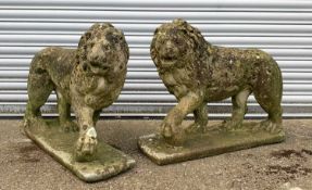 GARDEN ORNAMENTS: comprising pair standing carved stone lions on rectangular bases, 72cm wide (2)