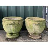 GARDEN ORNAMENTS: comprising pair acanthus leaf moulded composition stone planters, 42cm h (2)