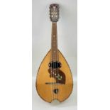 FRANZ FLEISCHMANN ACOUSTIC MANDOLIN, with lily of the valley inlaid table, barberspole strung