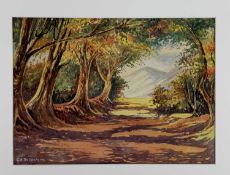 C S BALLANTYNE (South African) watercolour - tree lined path with mountains in distance, signed,