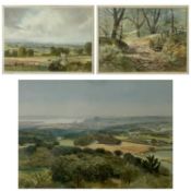 ARTHUR MILES RI (British, 1905-1987) watercolour - lane through woodland, entitled verso 'Lane to