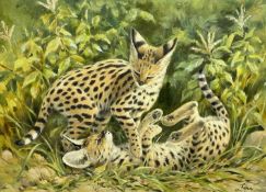 ‡ RENA MARGARET FENNESSY (20th Century British) oil on canvas - two Serval kittens at play, entitled