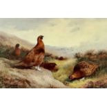 ARCHIBALD THORBURN (British 1860 - 1935) limited edition colour print (593/850) - red grouse,