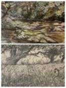 HELEN M STEINTHAL (British 1911 - 1991) pencil sketch - flower meadow with trees, monogrammed