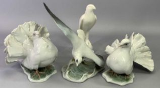 ROSENTHAL GERMAN PORCELAIN FIGURES - two fantail doves, 15cms H, a seagull, 22.5cms H and a cream