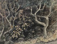HELEN M STEINTHAL (British 1911 - 1991) watercolour and pen - woodland, monogrammed lower right,
