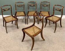 REGENCY SIMULATED ROSEWOOD SABRE LEG DINING CHAIRS - set of six having later caned seats, shaped,