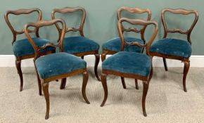 VICTORIAN ROSEWOOD BALLON BACK CHAIRS (6) - on cabriole supports, 83cms H, 48cms W, 36cms D