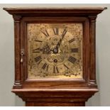 SLIM CASED OAK GRANDMOTHER CLOCK - square brass dial set with Roman numerals, 161cms H, 28cms W,