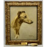 AMENDED DESCRIPTION; WILFRED HIGGINS oil on board - head and shoulder portrait of a greyhound '