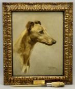 AMENDED DESCRIPTION; WILFRED HIGGINS oil on board - head and shoulder portrait of a greyhound '