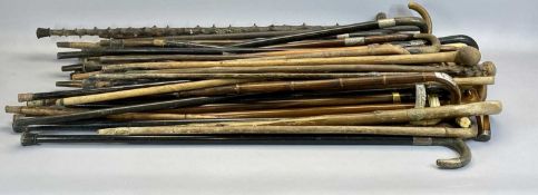 WALKING STICKS, A COLLECTION OF 50 - some with silver mounts and antler handles including a horse