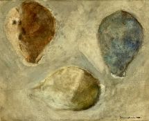 DAVID LEWIS (1982) watercolour - title verso 'Study of three Cowries', signed and dated lower right,