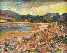 SELWYN JONES (British 1928 - 1998) oil on board - titled verso 'Glanllyn Mynydd Bodafon', 17 x