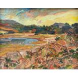 SELWYN JONES (British 1928 - 1998) oil on board - titled verso 'Glanllyn Mynydd Bodafon', 17 x