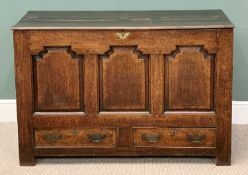 GEORGE IV OAK MULE CHEST - having three shaped and fielded panels over two drawers, lift-top lid,