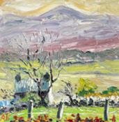 ‡ ALAN KNIGHT oil on board - entitled verso 'Cottage, Newborough, Anglesey', signed with