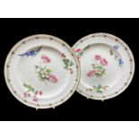 PAIR OF SWANSEA PORCELAIN PLATES circa 1815-1820, of circular form, decorated with flower studies