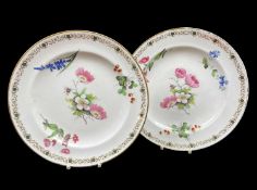 PAIR OF SWANSEA PORCELAIN PLATES circa 1815-1820, of circular form, decorated with flower studies