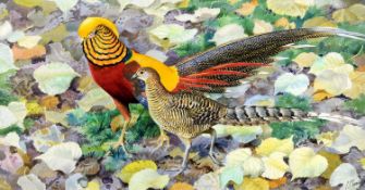 ‡ CHARLES FREDERICK TUNNICLIFFE RA watercolour - study of a golden pheasant and another walking on
