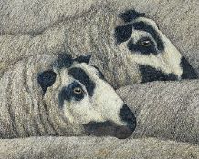 ‡ SEREN BELL mixed media, pen, ink and colour - entitled verso 'Torddu Ewes' together with a