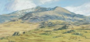 ‡ STEVEN JONES oil on card - mountainscape, entitled lower left 'Snowdon', signedDimensions: 17 x