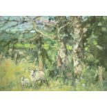 ‡ DIANA ARMFIELD RA oil on card - ewe and lamb grazing, entitled verso on Albany Gallery label '