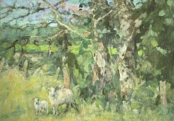 ‡ DIANA ARMFIELD RA oil on card - ewe and lamb grazing, entitled verso on Albany Gallery label '