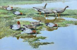 ‡ SIR PETER MARKHAM SCOTT oil on canvas - female and male wigeon and greylag geese in marshy