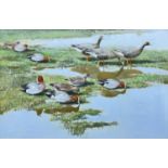 ‡ SIR PETER MARKHAM SCOTT oil on canvas - female and male wigeon and greylag geese in marshy