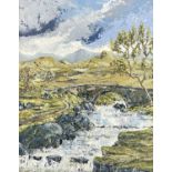 ‡ NIGEL MORGAN (Welsh Contemporary) oil on board - mountain stream with stone arched bridge and