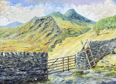 ‡ NIGEL MORGAN (Welsh Contemporary) oil on board - mountainscape with stone wall, gate and sty,