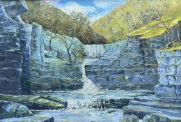 ‡ NIGEL MORGAN (Welsh Contemporary) oil on board - waterfall flanked by woodland, Neath Valley,