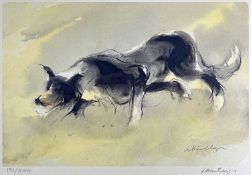 ‡ WILLIAM SELWYN (Welsh b. 1933) limited edition (191/500) colour print - Sheepdog, signed and