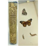 MORRIS (REV. F.O.), History of British Butterflies, 1853, with many hand coloured plates (moderate