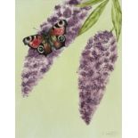 ‡ JULIE CUDDIHY (Contemporary) mixed media - Peacock butterfly on buddleia, signed, 25 x