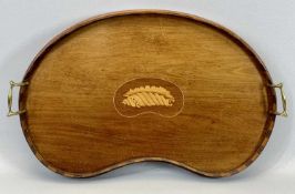 AN EDWARDIAN MAHOGANY KIDNEY SHAPED SERVING TRAY - with raised gallery and inlaid central shell